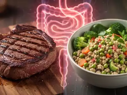 Ein perfekt gegrilltes Steak neben einer farbenfrohen pflanzlichen Proteinschale mit einem abstrakten Hintergrundmuster. - Foto: über boerse-global.de