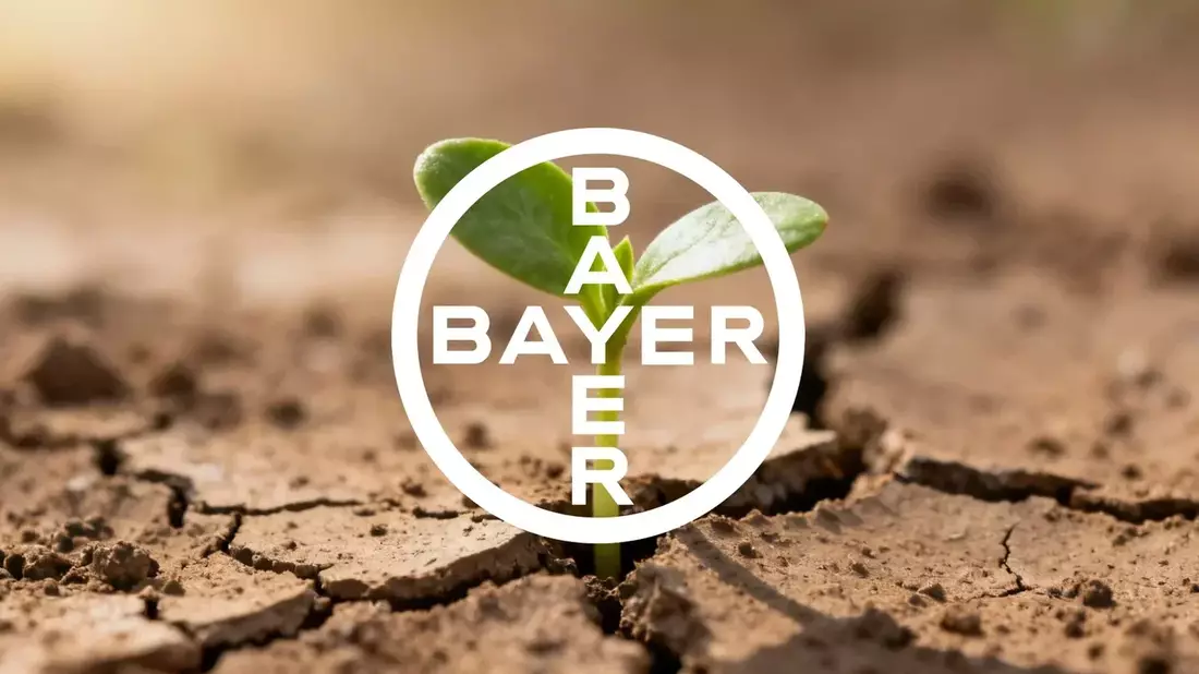Bayer Stock Surges 86% on Supreme Court Ruling and Strong Pharma Pipeline