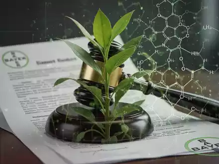 Abstrakte Darstellung eines Gerichtsdokuments oder Hammers, integriert mit einer Pflanze, die den Glyphosat-Sieg von Bayer symbolisiert. - Foto: über boerse-global.de