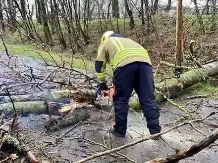 FW Alpen: UmgestĂŒrzter Baum verursacht Verkehrsunfall - Foto: presseportal.de