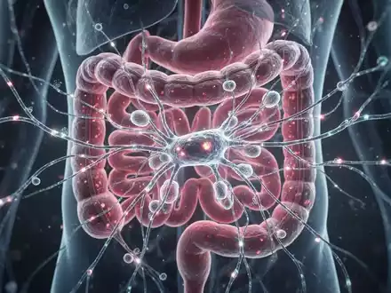 Nahaufnahme des menschlichen Darmmikrobioms mit leuchtenden neuronalen Pfaden, die medizinische Forschung und Diagnostik symbolisieren. - Foto: über boerse-global.de
