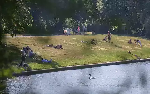 Leute liegen Ende Juni 2026 auf einer Wiese - Foto: via dts Nachrichtenagentur