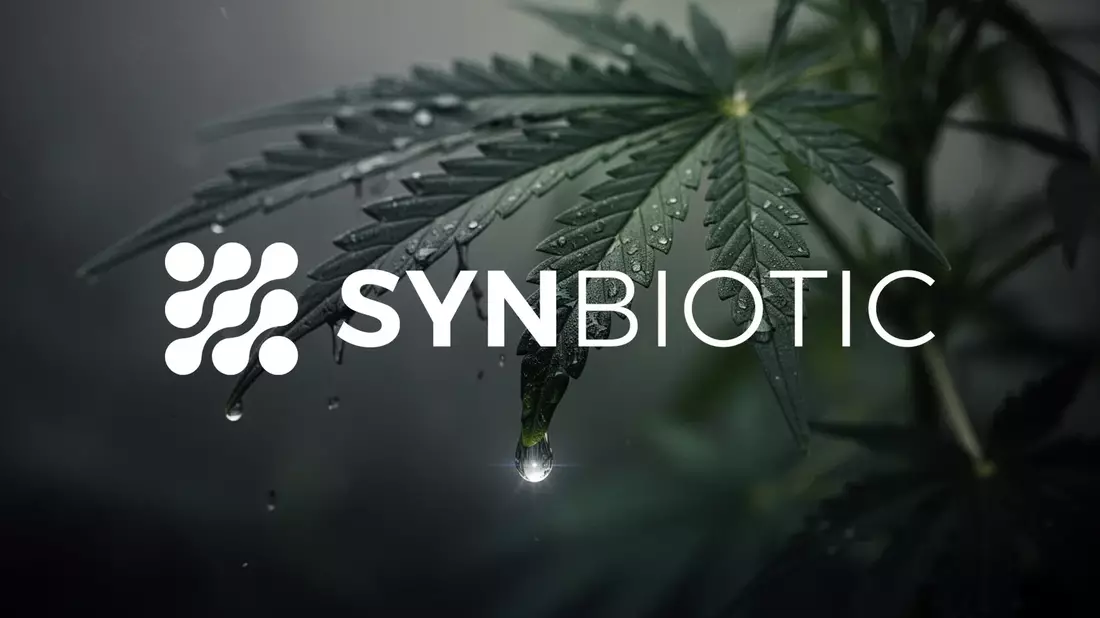 SynBiotic Aktie stürzt auf 1 Euro ab: Neues Allzeittief erreicht