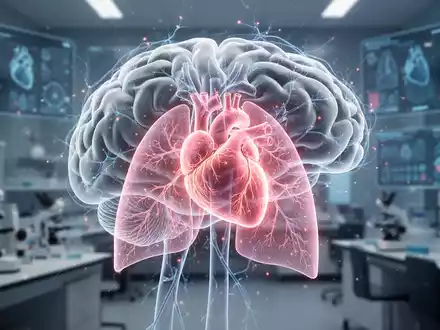 Eine stilisierte Darstellung von Gehirn, Herz und Lunge, die die Verbindung von Pneumonie und Langzeitrisiken symbolisiert. - Foto: über boerse-global.de