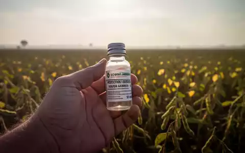 Eine Hand hält eine Pestizidflasche vor einem verschwommenen Sojabohnenfeld in Südamerika, das die Auswirkungen von Agrochemikalien symbolisiert. - Foto: über boerse-global.de