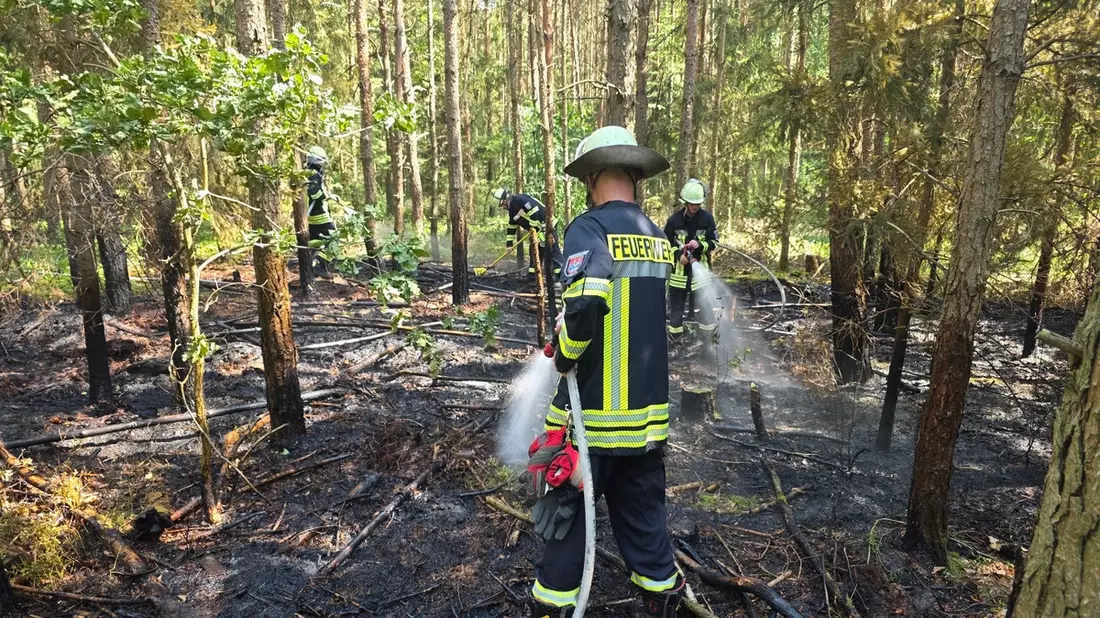 FW Celle: Hohes Einsatzaufkommen bei hohen Temperaturen - u.a. Waldbrand, Pkw-Brand und Heckenbrand! - Bild: presseportal.de