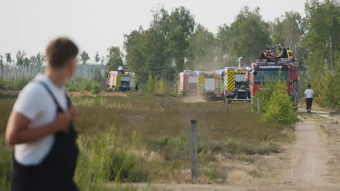 Die Feuerwehr kämpft gegen den Waldbrand. - Bild: Sebastian Willnow/dpa