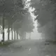 Im Sauerland in NRW ging schon am Samstagnachmittag ein Hagelschauer nieder. - Bild: Bernd März/extremwetter.tv/dpa
