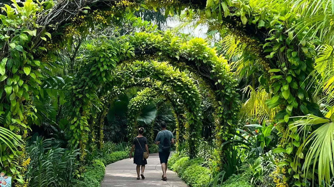 Singapur gilt als eine der grünsten Metropolen der Welt. (Archivbild) - Bild: Carola Frentzen/dpa
