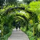 Singapur gilt als eine der grünsten Metropolen der Welt. (Archivbild) - Bild: Carola Frentzen/dpa