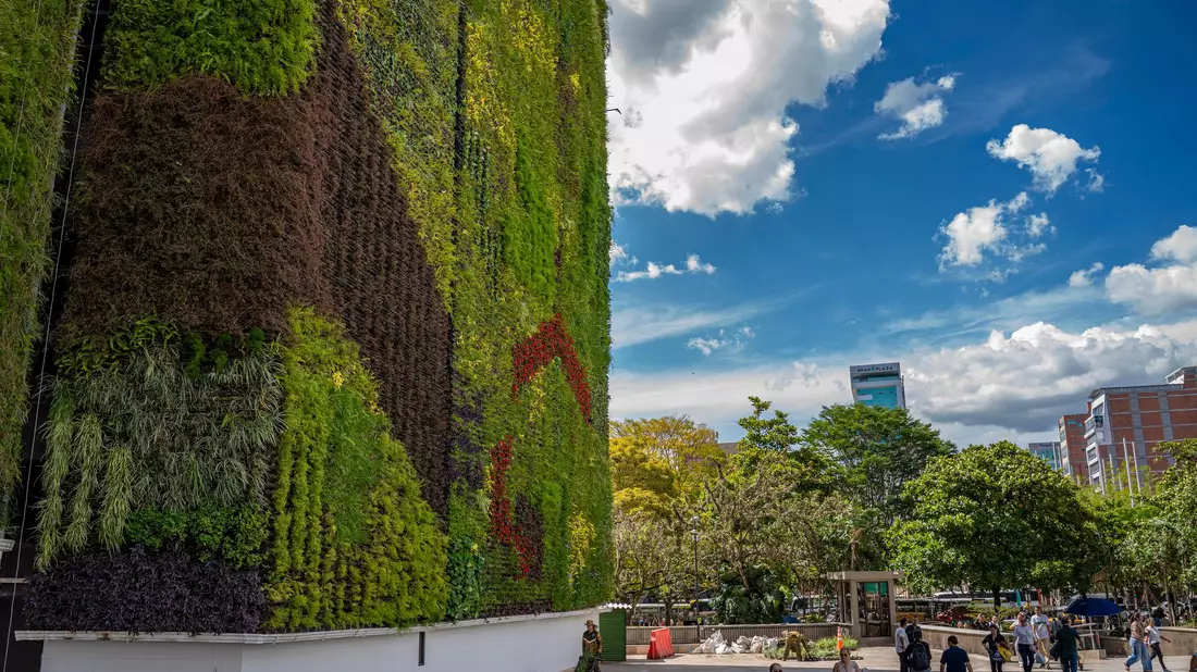 Fußgänger bewegen sich im Schatten einer begrünten Wand in Medellín. (Archivbild) - Bild: edinson arroyo/dpa