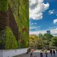 Fußgänger bewegen sich im Schatten einer begrünten Wand in Medellín. (Archivbild) - Bild: edinson arroyo/dpa