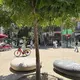 Entspannt radelt ein Mann in einer der verkehrsberuhigten Oasen Barcelonas, den sogenannten Superilles. Autos sind auf angrenzende Straßen verbannt. (Archivbild) - Bild: Jan Uwe Ronneburger/dpa