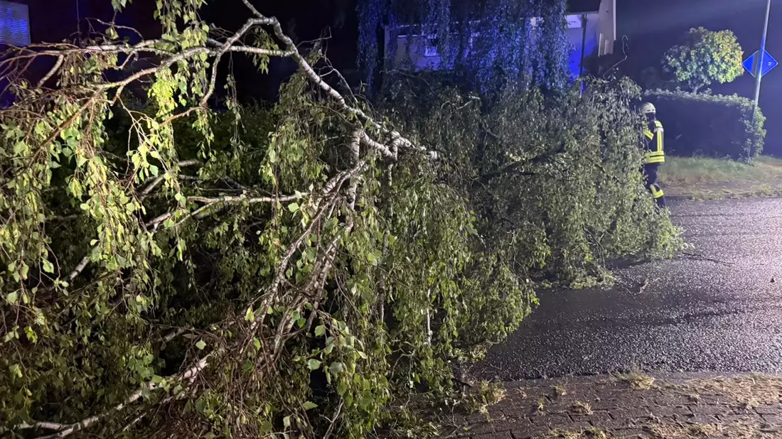 FW-KLE: Drei wetterbedingte Einsätze für die Freiwillige Feuerwehr Bedburg-Hau (Korrektur: Jetzt mit Einsatzbildern!) - Bild: presseportal.de