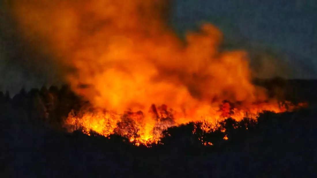 In der Nacht brannte es lichterloh in dem Waldgebiet in Rheinland-Pfalz.    - Bild: Sebastian Schmitt/dpa