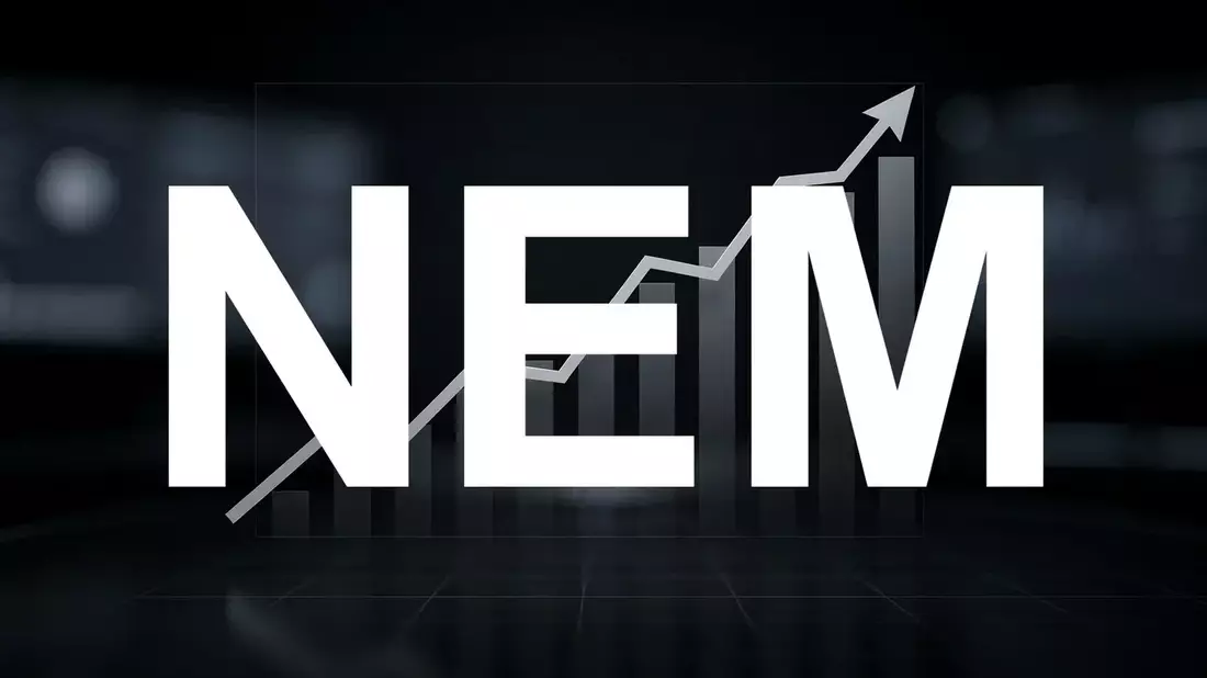 Nemetschek Stock Plunges 42% Despite Strong Q1 and $2.4B HCSS Deal