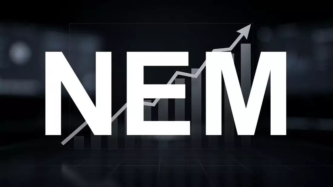 Nemetschek Stock Plunges 42% Despite Strong Growth and Transformative US Acquisition