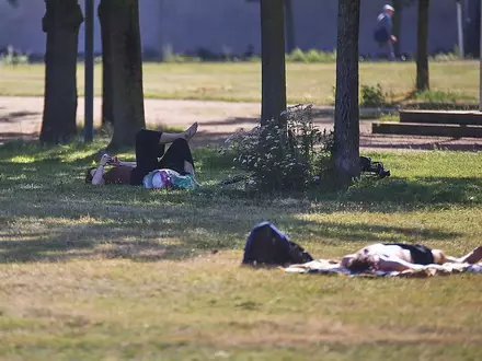 Sommer (Archiv) - Foto: via dts Nachrichtenagentur