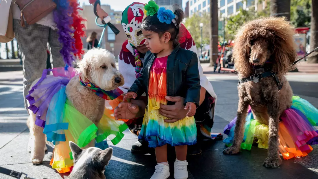 Regenbogen-Kostüme gibt es auch für Vierbeiner.  - Bild: Brontë Wittpenn/San Francisco Chronicle/AP/dpa