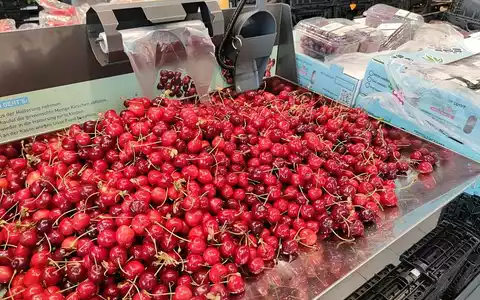Kirschen im Supermarkt (Archiv) - Foto: via dts Nachrichtenagentur