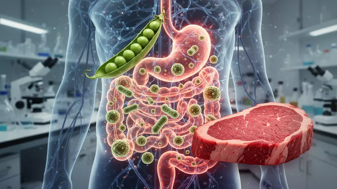 Darmflora-Forschung 2026: Neue Erkenntnisse zu Ernährung und Gesundheit