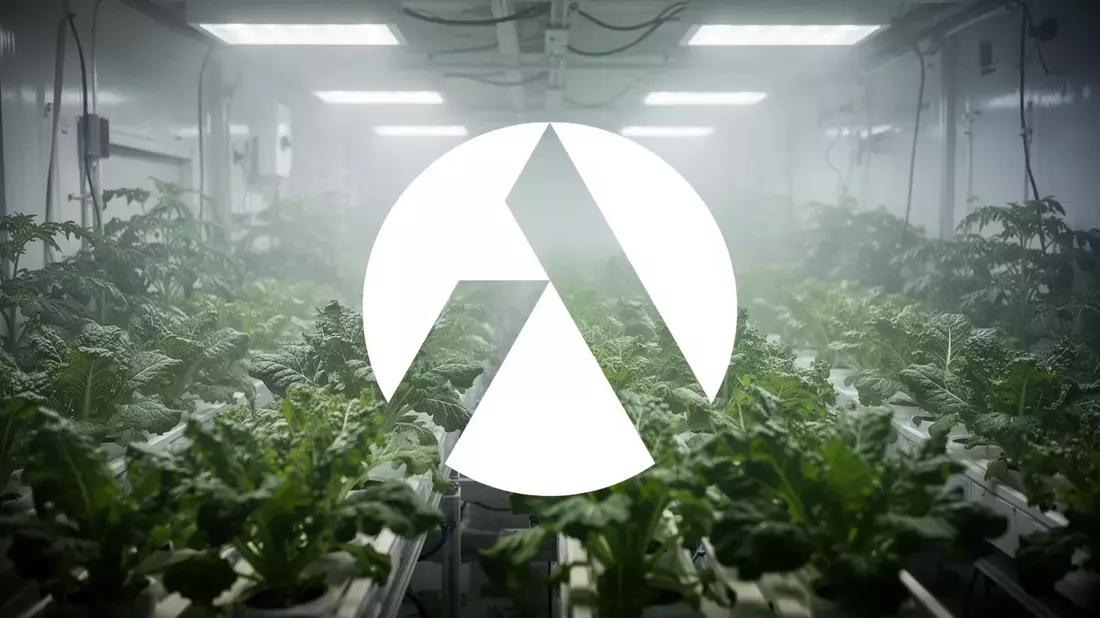 Tilray Aktie: DEA-Anhörung entscheidet über Cannabis-Neueinstufung