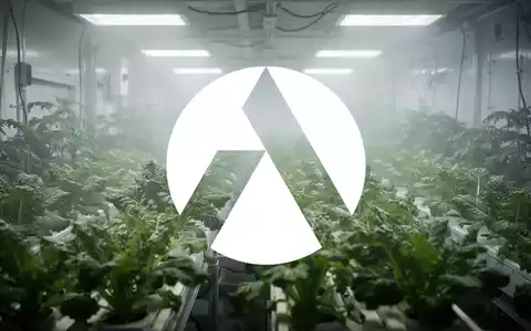 Eine neblige, atmosphärische Szene einer kontrollierten landwirtschaftlichen Innenumgebung mit weichem, diffusem Licht, das Reihen von generischen, blättrigen Grünpflanzen beleuchtet. - Foto: über boerse-global.de
