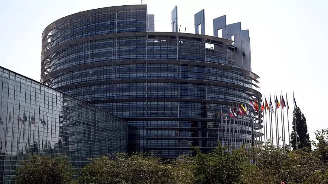 EU-Abgeordnete fordern Prüfung von AfD-Dachpartei ESN