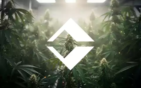 Abstrakte Darstellung der Cannabisindustrie mit weichem Licht und unscharfem Grün, das Hoffnung und Wachstum symbolisiert. - Foto: über boerse-global.de