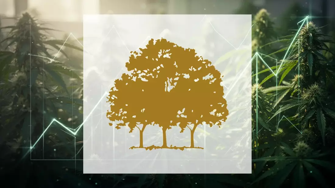 Canopy Growth Aktie: Supreme Court Urteil gibt Rückenwind