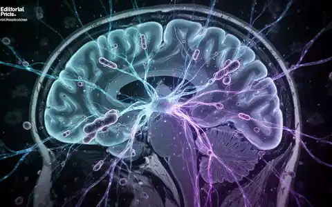 Eine Nahaufnahme eines menschlichen Gehirns, das durchscheinend dargestellt ist, mit leuchtenden blauen und violetten Neuronenbahnen. - Foto: über boerse-global.de