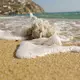 Baden in Meer und Seen ist mit Ausnahmen weitgehend sicher    - Bild: picture alliance / dpa