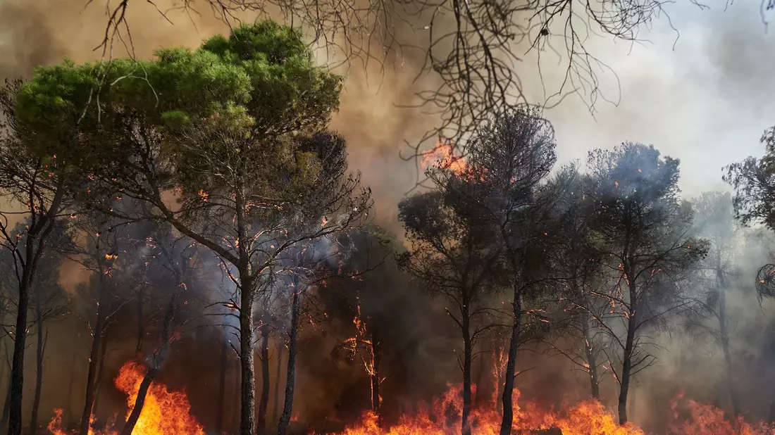 Rauch und Feinstaub aus Waldbränden verunreinigen auch noch in weiter Entfernung - Bild: Eduardo Sanz/EUROPA PRESS/dpa