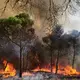 Rauch und Feinstaub aus Waldbränden verunreinigen auch noch in weiter Entfernung - Bild: Eduardo Sanz/EUROPA PRESS/dpa
