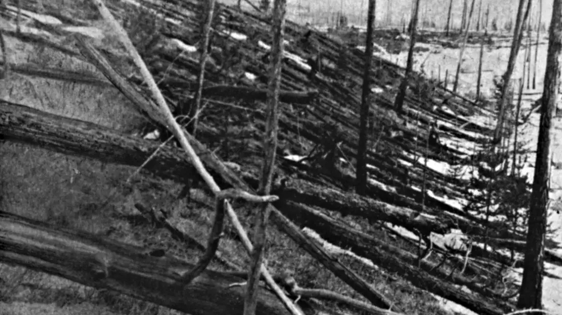 In Ostsibirien wurden zahlreiche Bäume von dem Asteroiden umgeknickt. (Handout) - Bild: L. Kulik/Russische Akademie der Wissenschaften/dpa
