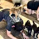 Die Hundebabys sollen das Tempo vorgeben. - Bild: Carola Frentzen/dpa