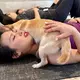 Auch die Teilnehmer entspannen, wenn sich ein Hundebaby auf ihnen zusammenrollt. - Bild: Carola Frentzen/dpa