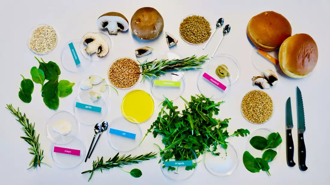 Von KI entworfene Zutaten für einen nachhaltigen und dabei leckeren Burger: unter anderem Zucht-Champignons, Rucola, Rosmarin, Körner und Gewürze. - Bild: Living Matter Lab / EurekAlert/dpa