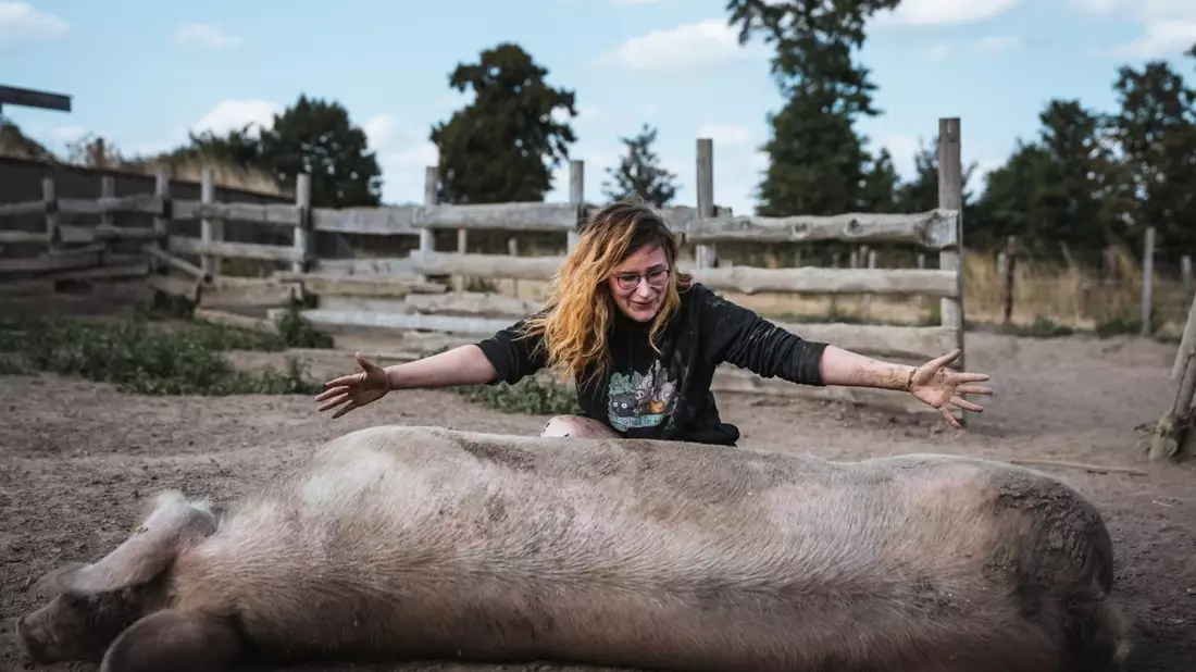 ANINOVA-Stiftung fördert neuen Stall für gerettete Tiere auf dem VidaHof in Kleve (NRW) - Bild: presseportal.de