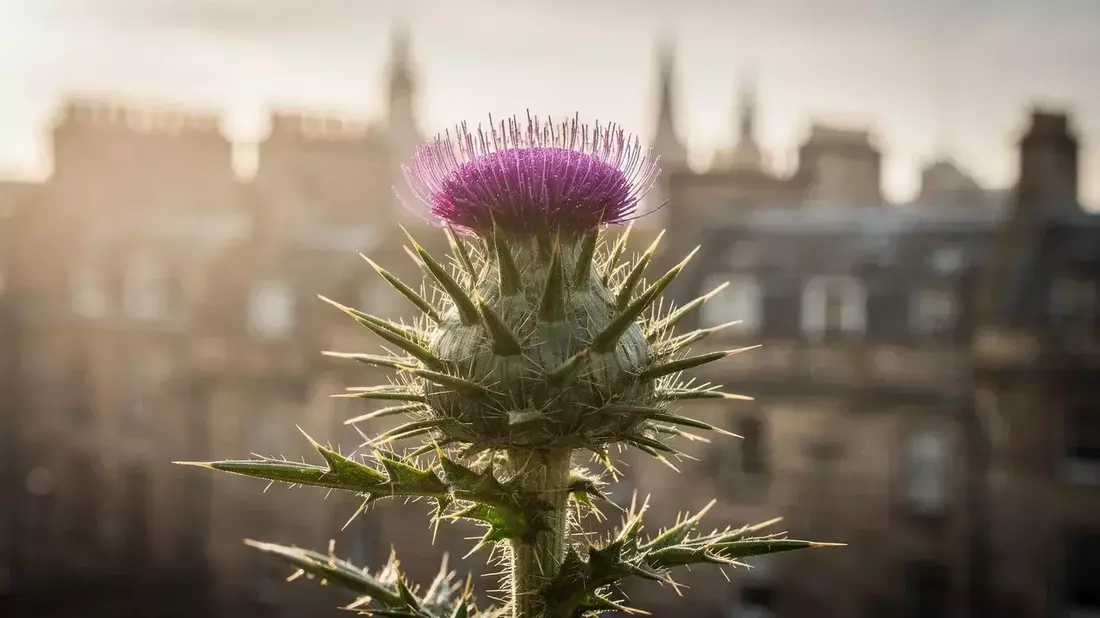 Scottish Mortgage Navigates Tech Rout with Buybacks and Anthropic IPO Bet