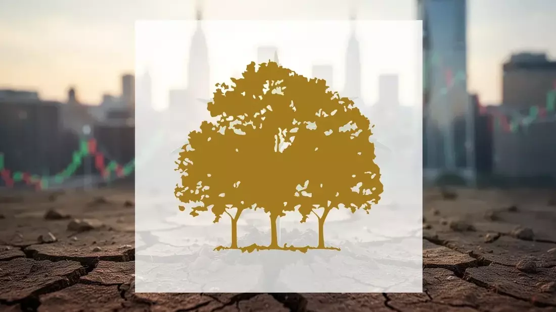Canopy Growth Shifts to IP-Focused Holding Company as Stock Tests Key Support