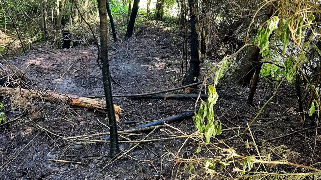FW Stockach: Brennendes Gebüsch - Bild: presseportal.de
