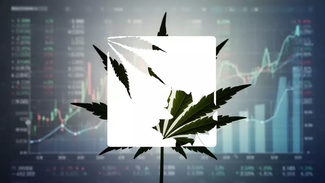 OrganiGram: Internationale Expansion als Rettungsanker