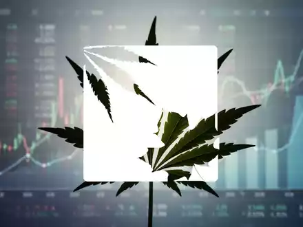 Eine Cannabisblatt-Silhouette vor einem weichen, verschwommenen Hintergrund aus Finanzdatenvisualisierungen, die Wachstum und Investitionen andeuten. - Foto: über boerse-global.de