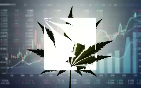 Eine Cannabisblatt-Silhouette vor einem weichen, verschwommenen Hintergrund aus Finanzdatenvisualisierungen, die Wachstum und Investitionen andeuten. - Foto: über boerse-global.de