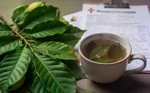 Frische Guavenblätter neben einer Tasse Guavenblättertee, mit unscharfem medizinischen Bericht im Hintergrund. - Foto: über boerse-global.de