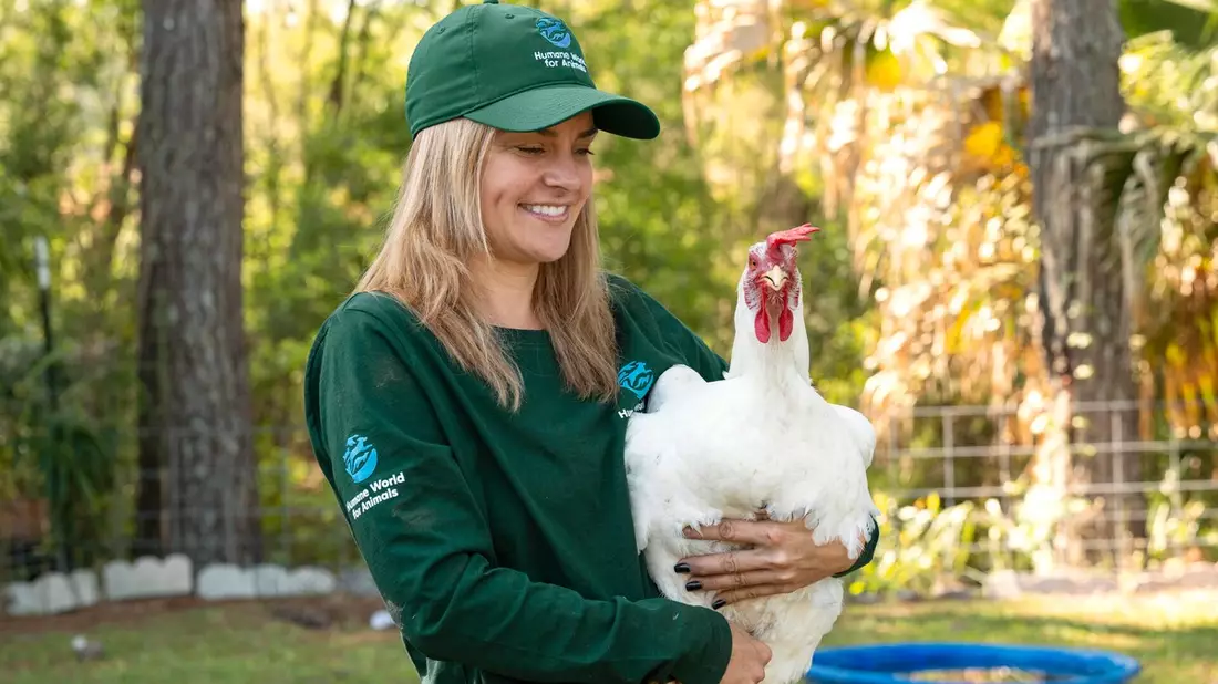 Mandat für Tiere: Petition fordert Bundesregierung zum Handeln auf / Humane World for Animals Tierschutz-Barometer 2026 zeigt klare Leistungslücke der Bundesregierung beim Tierschutz - Bild: presseportal.de