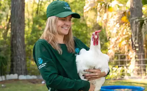 Mandat für Tiere: Petition fordert Bundesregierung zum Handeln auf / Humane World for Animals Tierschutz-Barometer 2026 zeigt klare Leistungslücke der Bundesregierung beim Tierschutz - Foto: presseportal.de