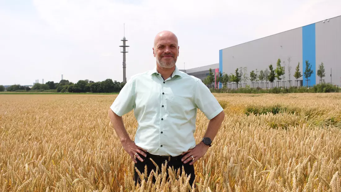 Grevenbroichs Bürgermeister Klaus Krützen (SPD) auf dem Grundstück, wo noch ein Weizenfeld ist - künftig soll dort das Microsoft-Rechenzentrum stehen.  - Bild: Stadt Grevenbroich/dpa