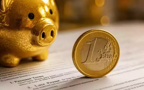 Makro-Nahaufnahme einer goldenen Sparbüchse und Euro-Münze auf weißem Finanzvertrag. MLP SE, ISIN DE0006569908 - Foto: THN